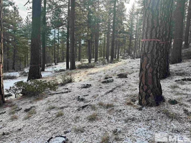 370 Abies, Reno, Nevada 89511, ,Land,Residential,Abies,250005847