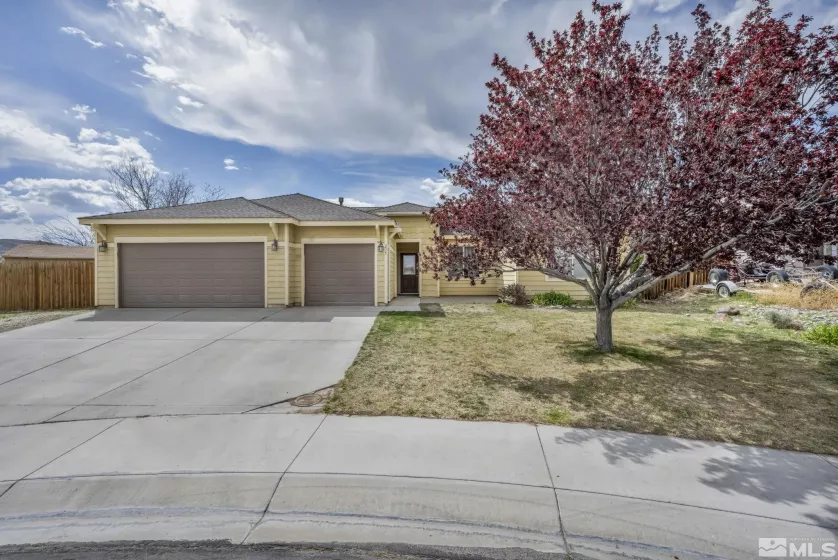 215 Red Wing, Dayton, Nevada 89403, 3 Bedrooms Bedrooms, ,2 BathroomsBathrooms,Residential,Residential,Red Wing,250005063