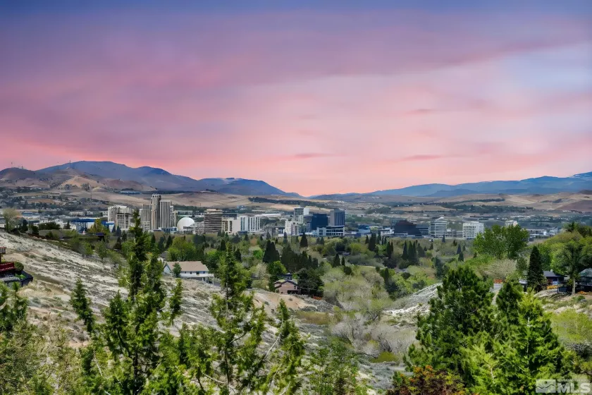 3045 Cashill, Reno, Nevada 89509, 2 Bedrooms Bedrooms, ,2 BathroomsBathrooms,Residential,Residential,Cashill,250005590