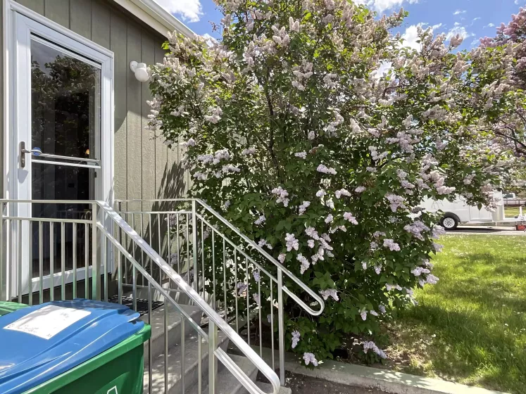 265 Mellen Avenue, Sparks, Nevada 89431, 3 Bedrooms Bedrooms, 9 Rooms Rooms,2 BathroomsBathrooms,Manufactured,Residential,Mellen,250005858