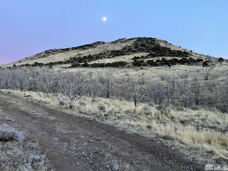 405 Stallion, Reno, Nevada 89510, ,Land,Residential,Stallion,240015241