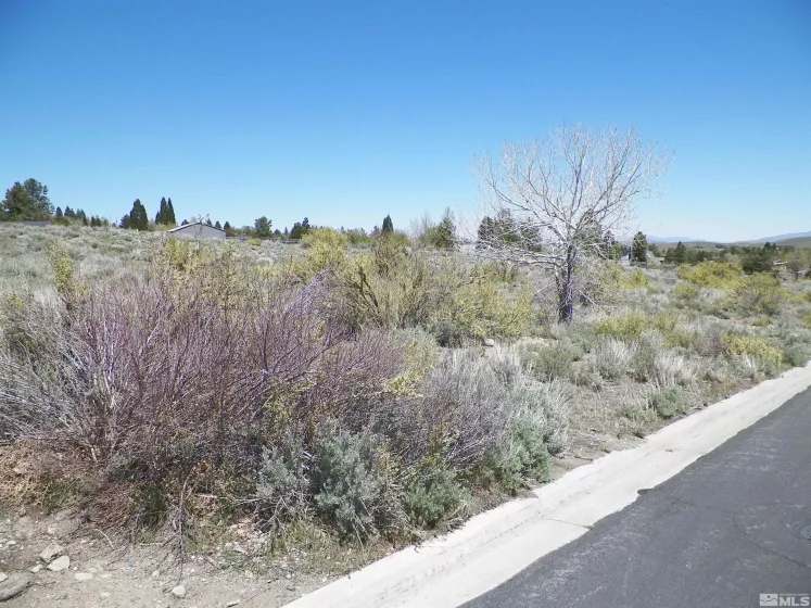 6360 De Chardin, Reno, Nevada 89511, ,Land,Residential,De Chardin,250005860