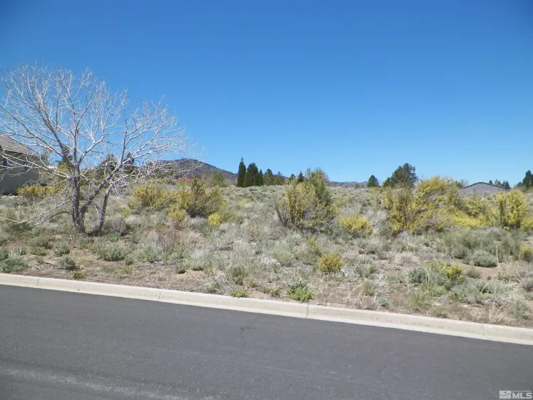 6360 De Chardin, Reno, Nevada 89511, ,Land,Residential,De Chardin,250005860