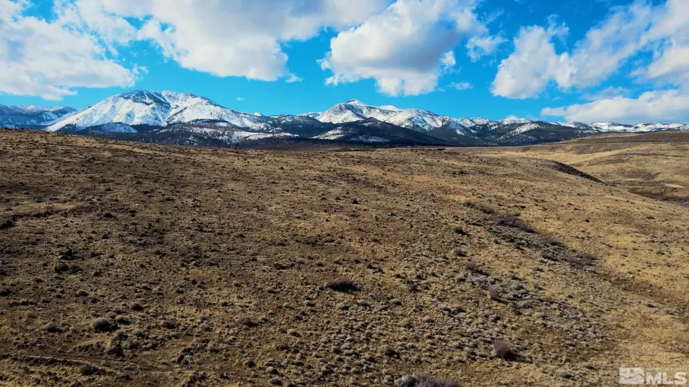 0 US Highway 395, Reno, Nevada 89521, ,Land,Residential,US Highway 395,250002221