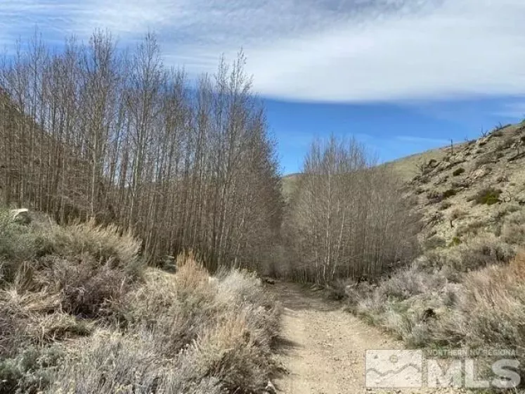TBD Minnehaha Canyon(120), Wellington, Nevada 89444, ,Land,Residential,Minnehaha Canyon(120),220007140