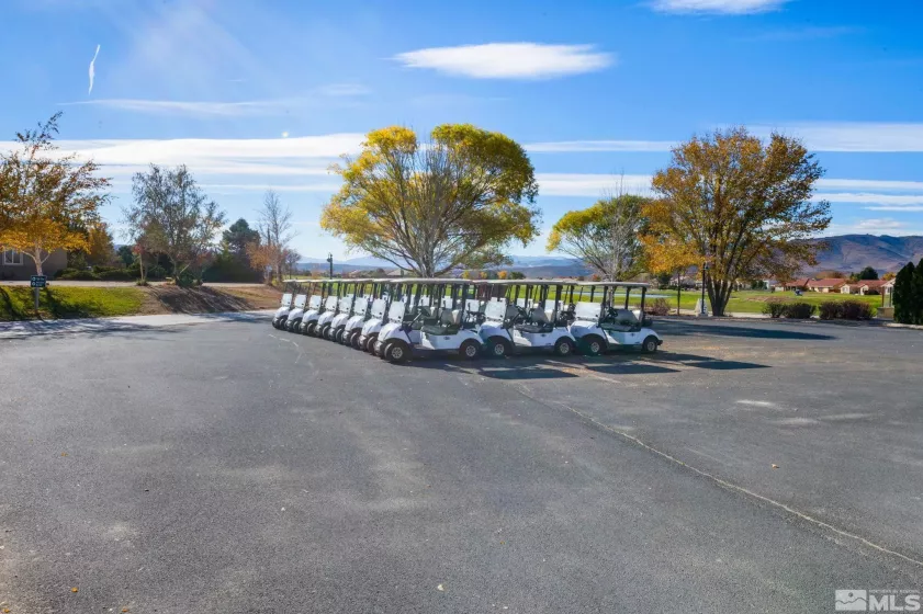 600 Birkdale Ct, Dayton, Nevada 89403, 3 Bedrooms Bedrooms, ,2 BathroomsBathrooms,Residential,Residential,Birkdale Ct,250005868