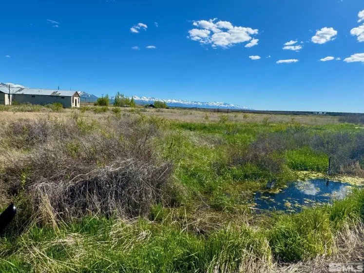 003308002 Near Starr, Elko, Nevada 89801, ,Land,Residential,Near Starr,240006012