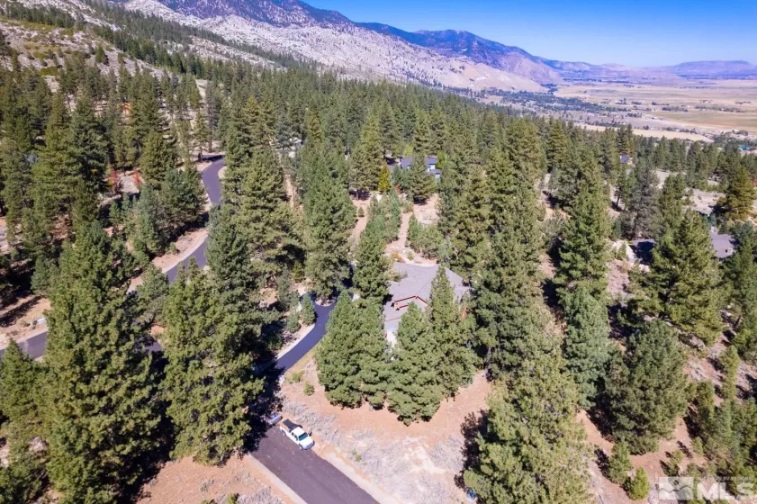 210 Sheridan Creek, Gardnerville, Nevada 89460, 5 Bedrooms Bedrooms, ,7 BathroomsBathrooms,Residential,Residential,Sheridan Creek,240012985