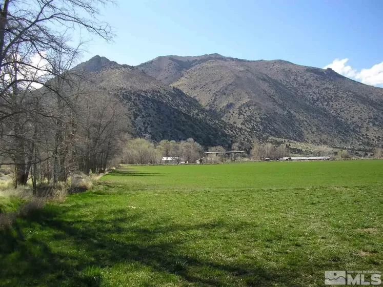 42 Wedertz, Wellington, Nevada 89444, 2 Bedrooms Bedrooms, ,1 BathroomBathrooms,Farm & Ranch,Residential,Wedertz,230001750
