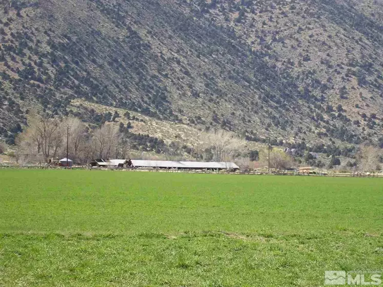 42 Wedertz, Wellington, Nevada 89444, 2 Bedrooms Bedrooms, ,1 BathroomBathrooms,Farm & Ranch,Residential,Wedertz,230001750