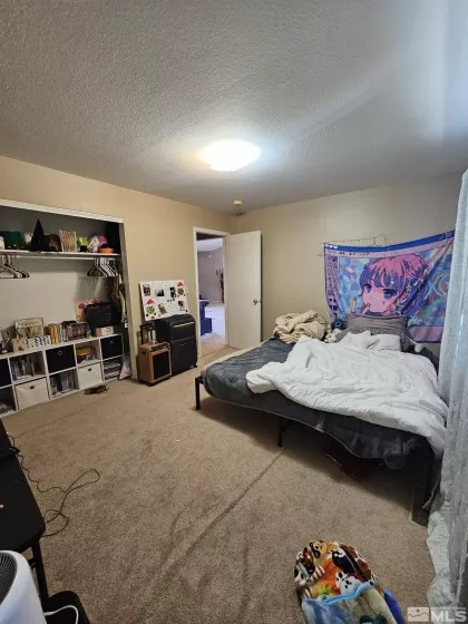5212 Toyon, Fallon, Nevada 89406, 3 Bedrooms Bedrooms, ,2 BathroomsBathrooms,Residential,Residential,Toyon,250005891