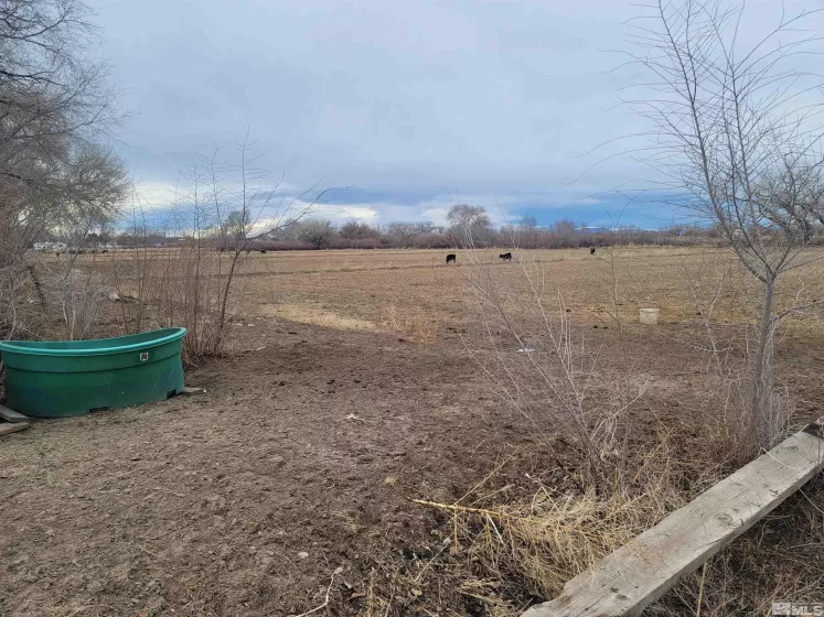 900 Calkin / Rice Rd, Fallon, Nevada 89406, ,Land,Residential,Calkin / Rice Rd,250005884
