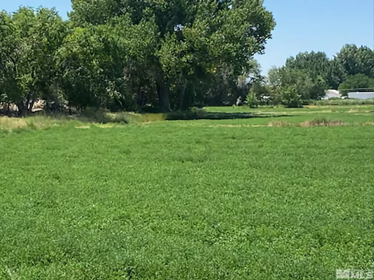900 Calkin / Rice Rd, Fallon, Nevada 89406, ,Land,Residential,Calkin / Rice Rd,250005884