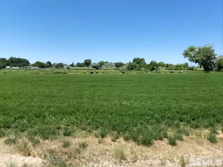 900 Calkin / Rice Rd, Fallon, Nevada 89406, ,Land,Residential,Calkin / Rice Rd,250005884