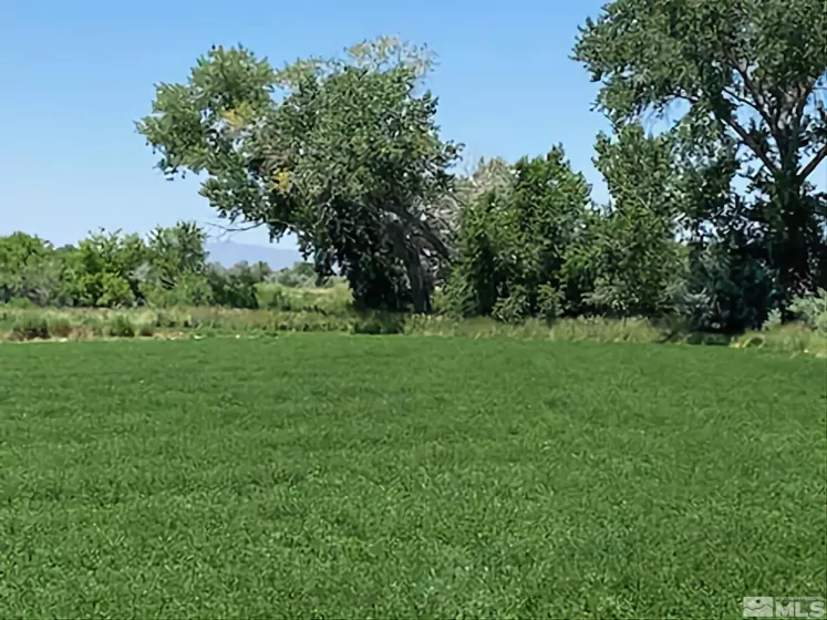 900 Calkin / Rice Rd, Fallon, Nevada 89406, ,Land,Residential,Calkin / Rice Rd,250005884