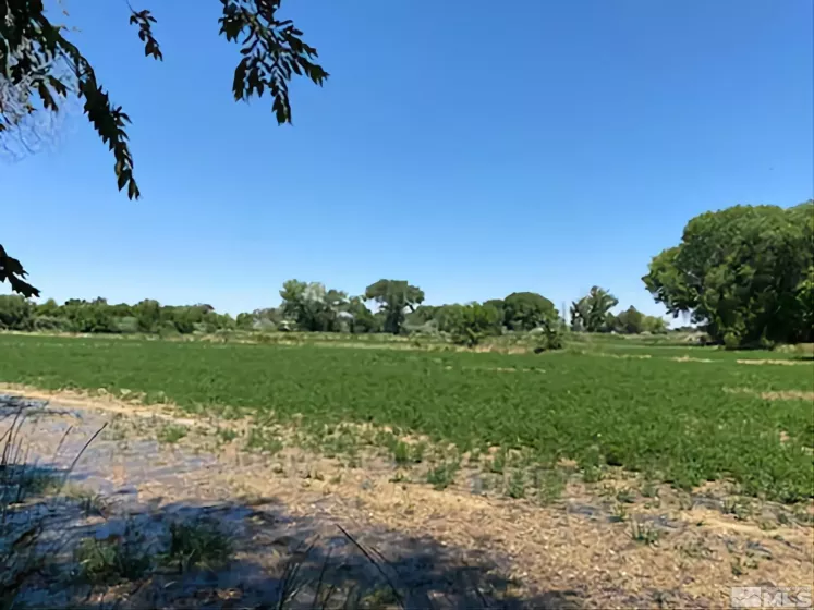 900 Calkin / Rice Rd, Fallon, Nevada 89406, ,Land,Residential,Calkin / Rice Rd,250005884