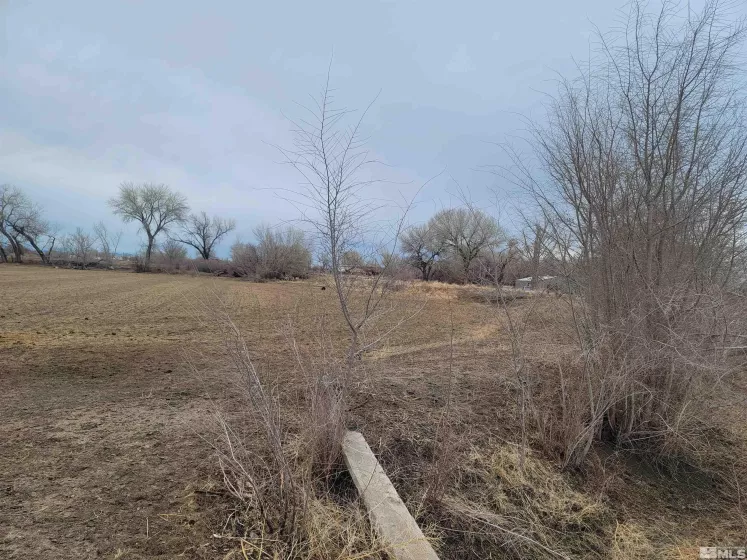 900 Calkin / Rice Rd, Fallon, Nevada 89406, ,Land,Residential,Calkin / Rice Rd,250005884