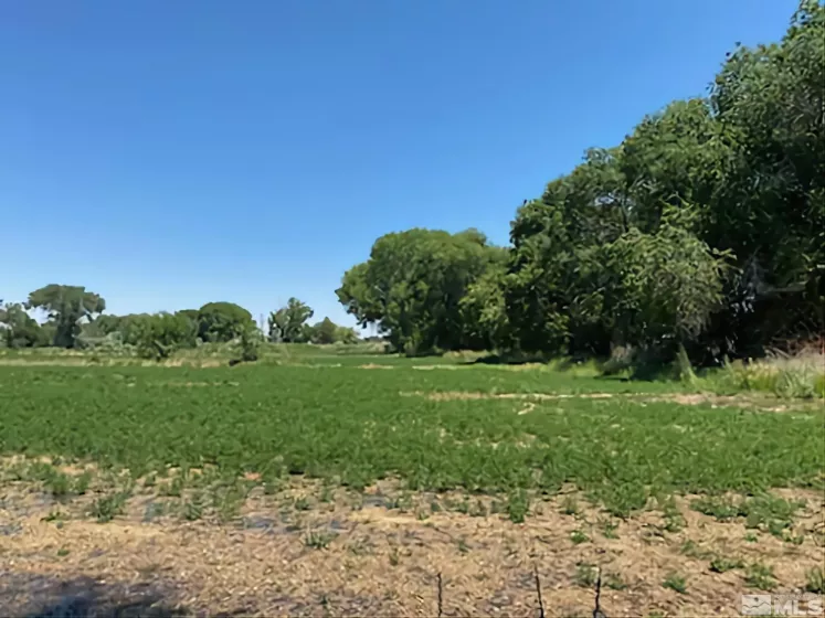 900 Calkin / Rice Rd, Fallon, Nevada 89406, ,Land,Residential,Calkin / Rice Rd,250005884