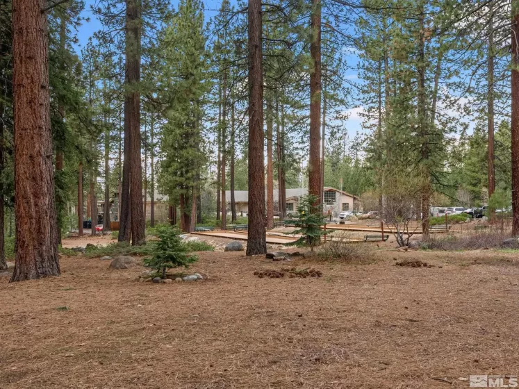 989 Tahoe, Incline Village, Nevada 89451, 3 Bedrooms Bedrooms, ,2 BathroomsBathrooms,Residential,Residential,Tahoe,250004852