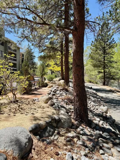 2855 Idlewild, Reno, Nevada 89509, 1 Bedroom Bedrooms, ,1 BathroomBathrooms,Residential,Residential,Idlewild,250005887