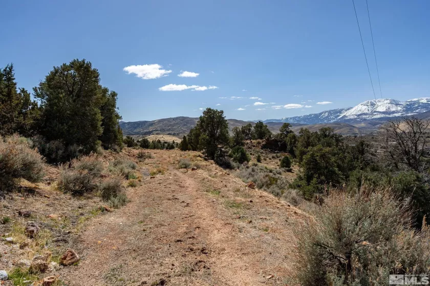 0 Temple Hill, Reno, Nevada 89521, ,Land,Residential,Temple Hill,250004416