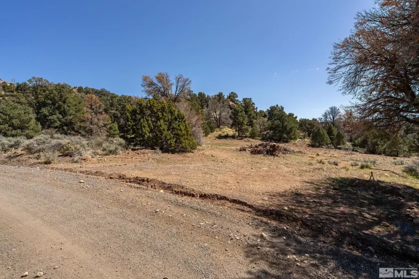 0 Temple Hill, Reno, Nevada 89521, ,Land,Residential,Temple Hill,250004416