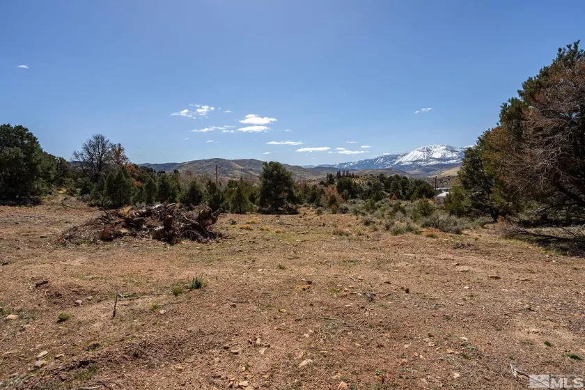 0 Temple Hill, Reno, Nevada 89521, ,Land,Residential,Temple Hill,250004416