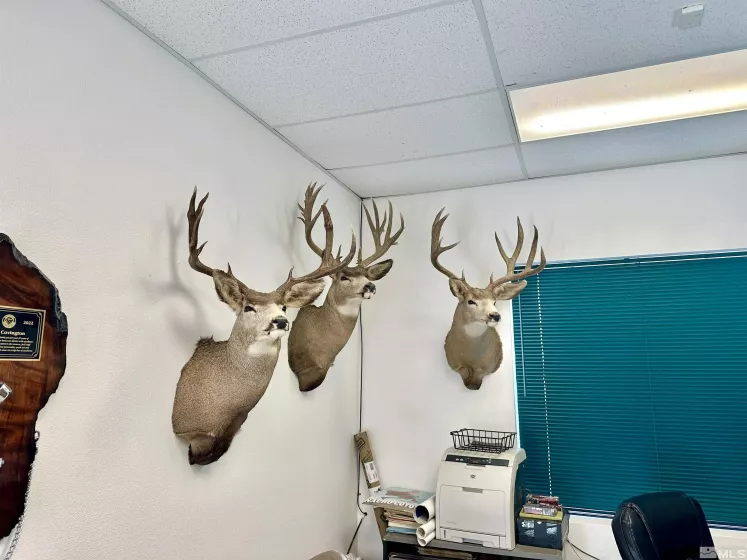 1245 Alpha, Ely, Nevada 89301, ,Commercial Sale,Residential,Alpha,240004417