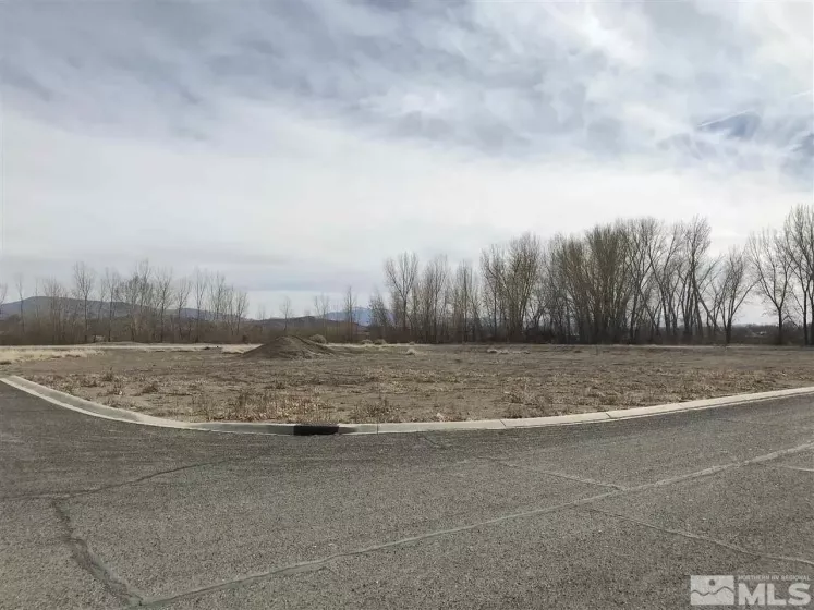 502 Sprague, Yerington, Nevada 89447, ,Land,Residential,Sprague,210002666