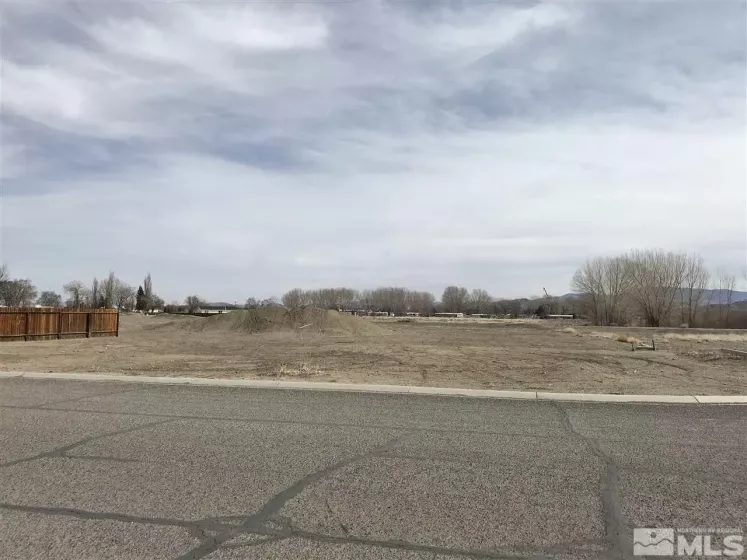 502 Sprague, Yerington, Nevada 89447, ,Land,Residential,Sprague,210002666