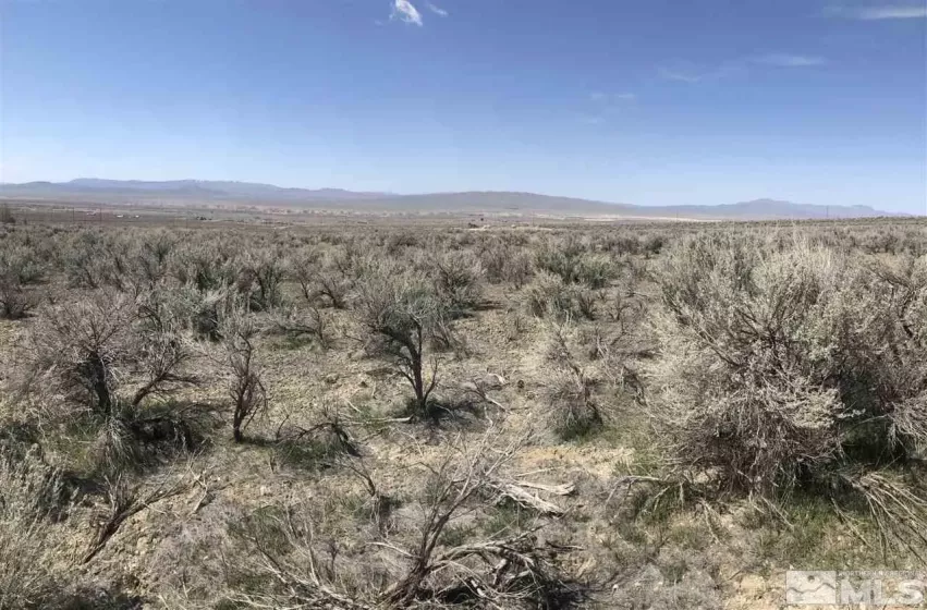 12455 Beaumont, Lovelock, Nevada 89419, ,Land,Residential,Beaumont,210001495
