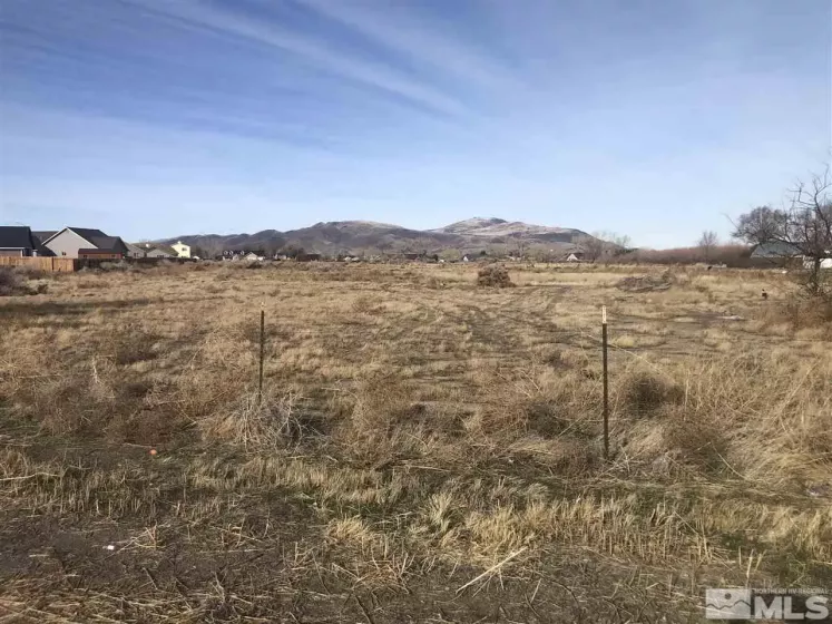 1240-1250 Farm District, Fernley, Nevada 89408, ,Land,Residential,Farm District,200001533