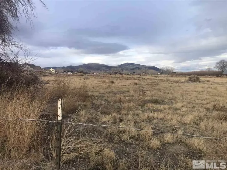 1240-1250 Farm District, Fernley, Nevada 89408, ,Land,Residential,Farm District,200001533
