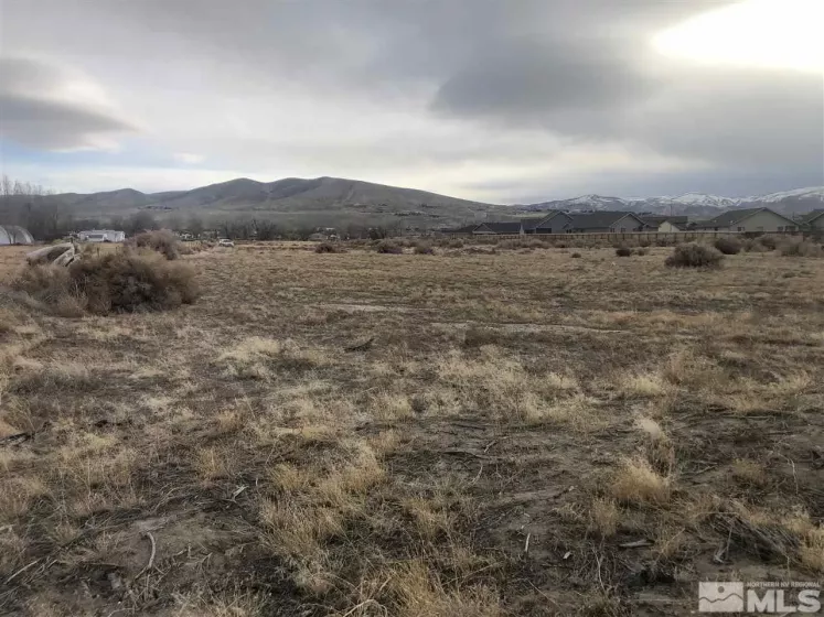1240-1250 Farm District, Fernley, Nevada 89408, ,Land,Residential,Farm District,200001533