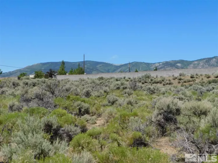 00 Goni, Carson City, Nevada 89706, ,Land,Residential,Goni,190013642