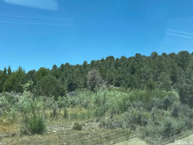 tbd P14 BLM trail (77), Minden, Nevada 89423, ,Land,Residential,P14 BLM trail (77),210011912