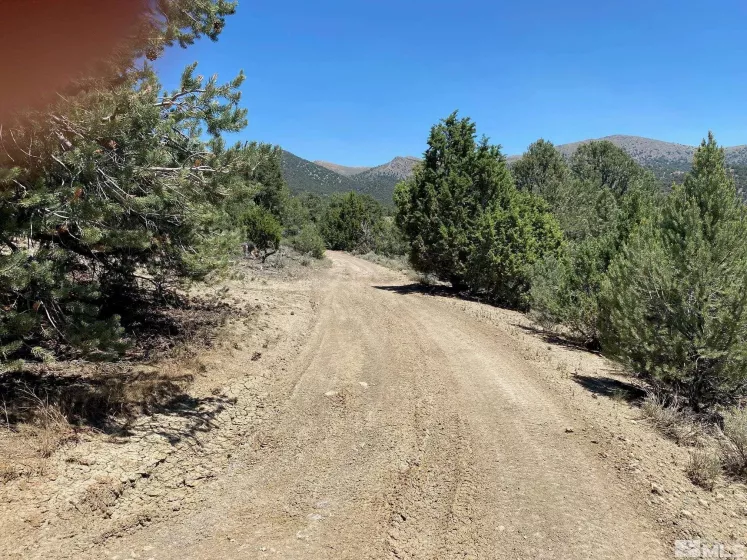 tbd P14 BLM trail (77), Minden, Nevada 89423, ,Land,Residential,P14 BLM trail (77),210011912