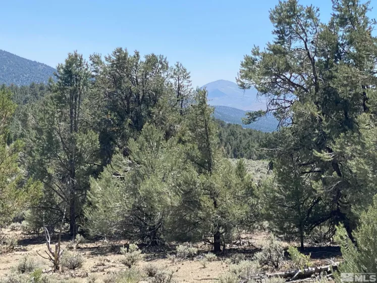 tbd P14 BLM trail (77), Minden, Nevada 89423, ,Land,Residential,P14 BLM trail (77),210011912