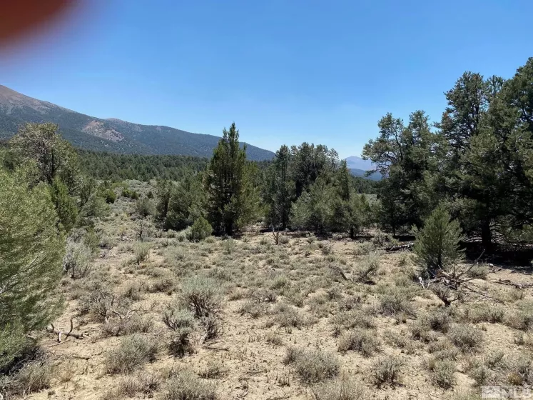 tbd P14 BLM trail (77), Minden, Nevada 89423, ,Land,Residential,P14 BLM trail (77),210011912