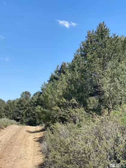 TBD Pine Nut, Gardnerville, Nevada 89410, ,Land,Residential,Pine Nut,220009724