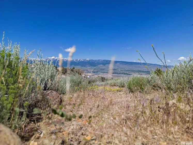 0 Kenneth, Reno, Nevada 89521, ,Land,Residential,Kenneth,230006476