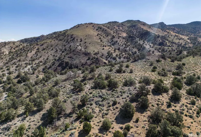 0 Kenneth, Reno, Nevada 89521, ,Land,Residential,Kenneth,230006476