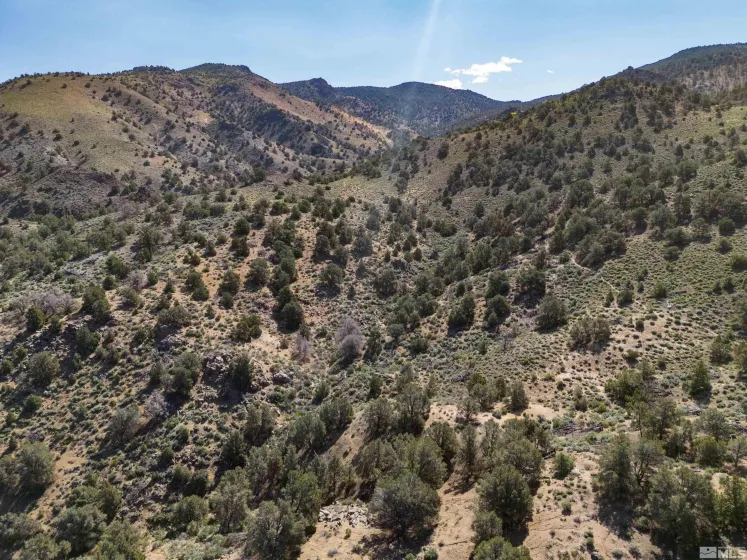 Kenneth, Reno, Nevada 89521, ,Land,Residential,Kenneth,230006476