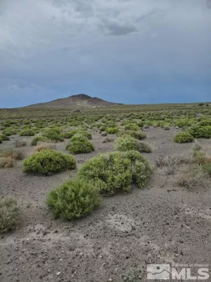 0 No Address Available, Fallon, Nevada 89406, ,Land,Residential,No Address Available,230009156