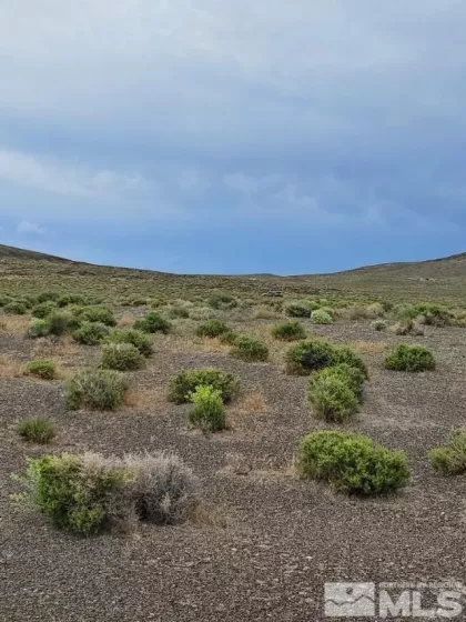 0 No Address Available, Fallon, Nevada 89406, ,Land,Residential,No Address Available,230009156