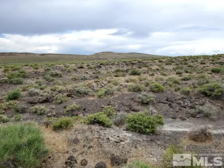 0 No Address Available, Fallon, Nevada 89406, ,Land,Residential,No Address Available,230009156