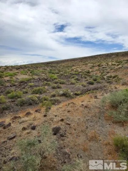 0 No Address Available, Fallon, Nevada 89406, ,Land,Residential,No Address Available,230009156