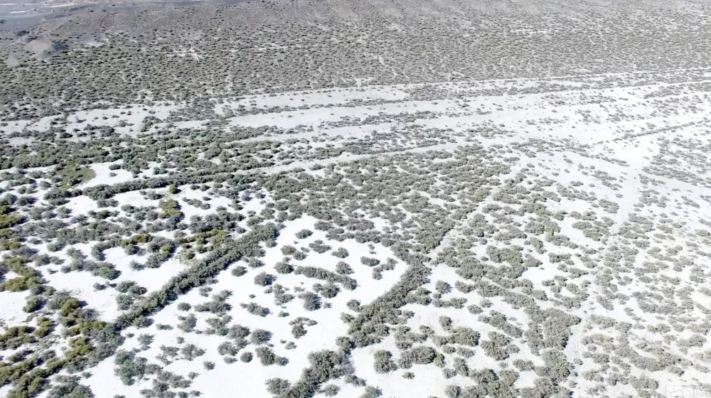 Lots 00739103 & 00739104, Lovelock, Nevada 89419, ,Land,Residential,00739103 & 00739104,240000999