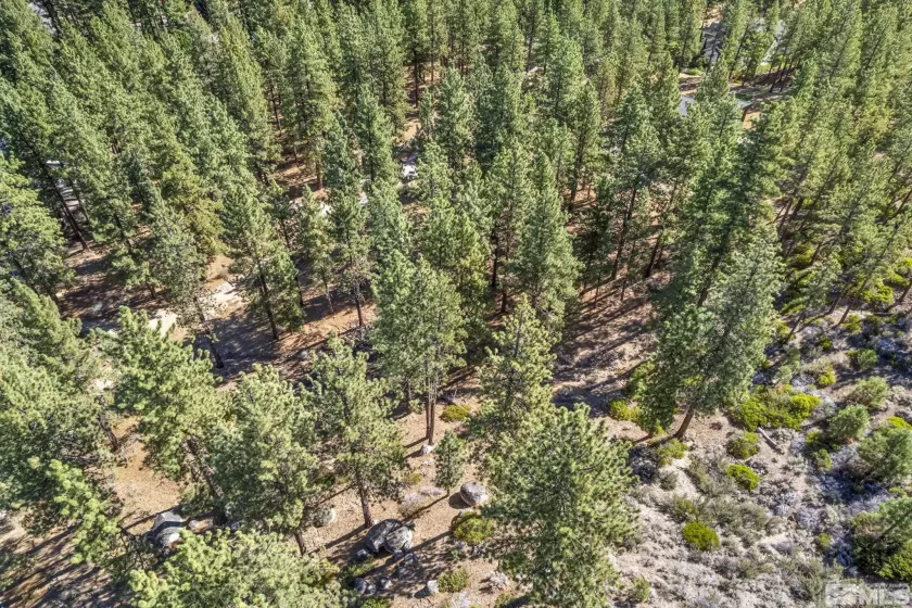 0 Franktown, Washoe Valley, Nevada 89704, ,Land,Residential,Franktown,220016231