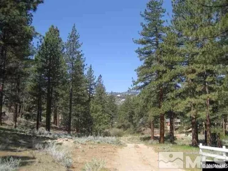 0 Franktown, Washoe Valley, Nevada 89704, ,Land,Residential,Franktown,220016231